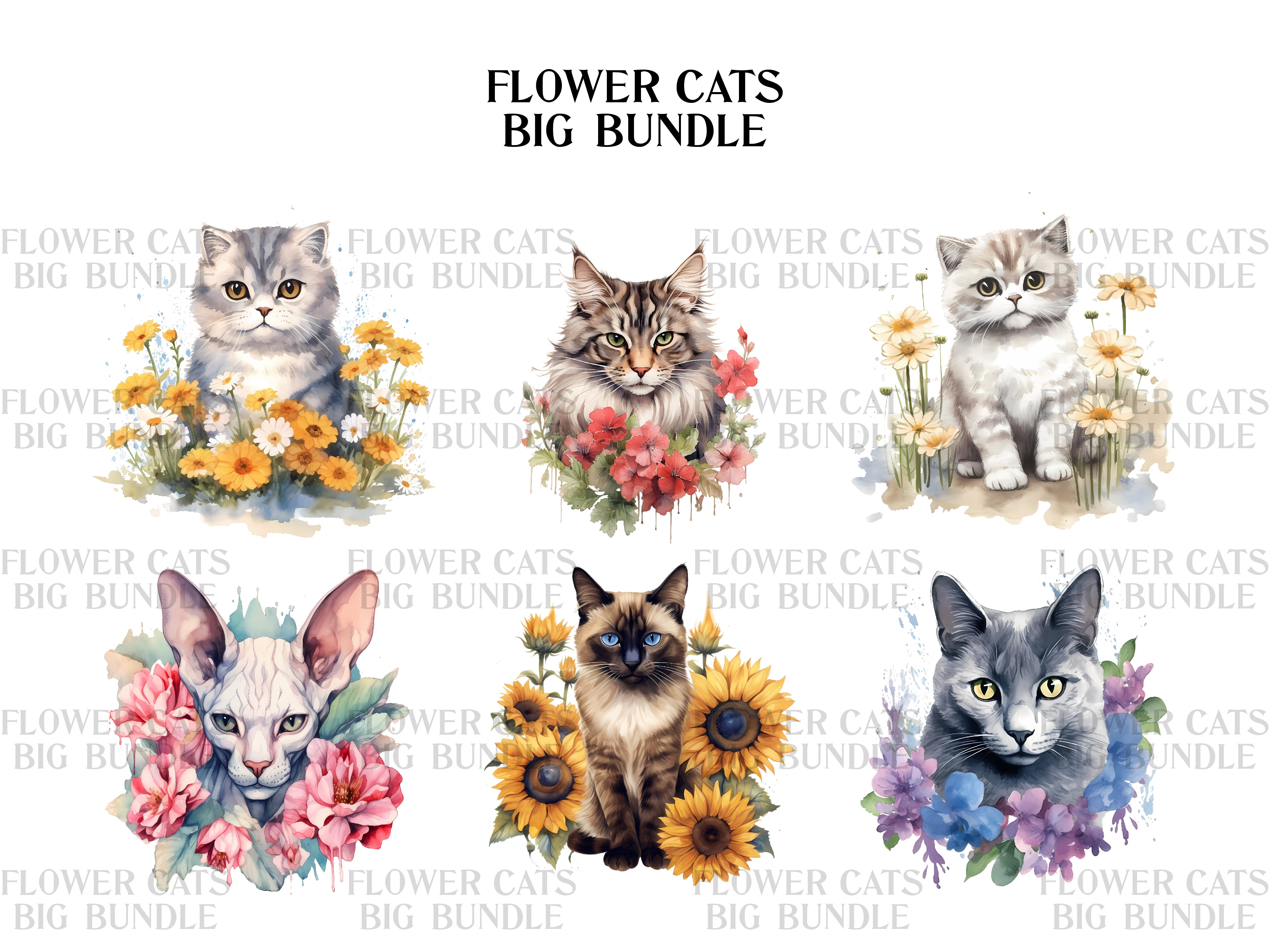 Flower Cats Clipart - CraftNest