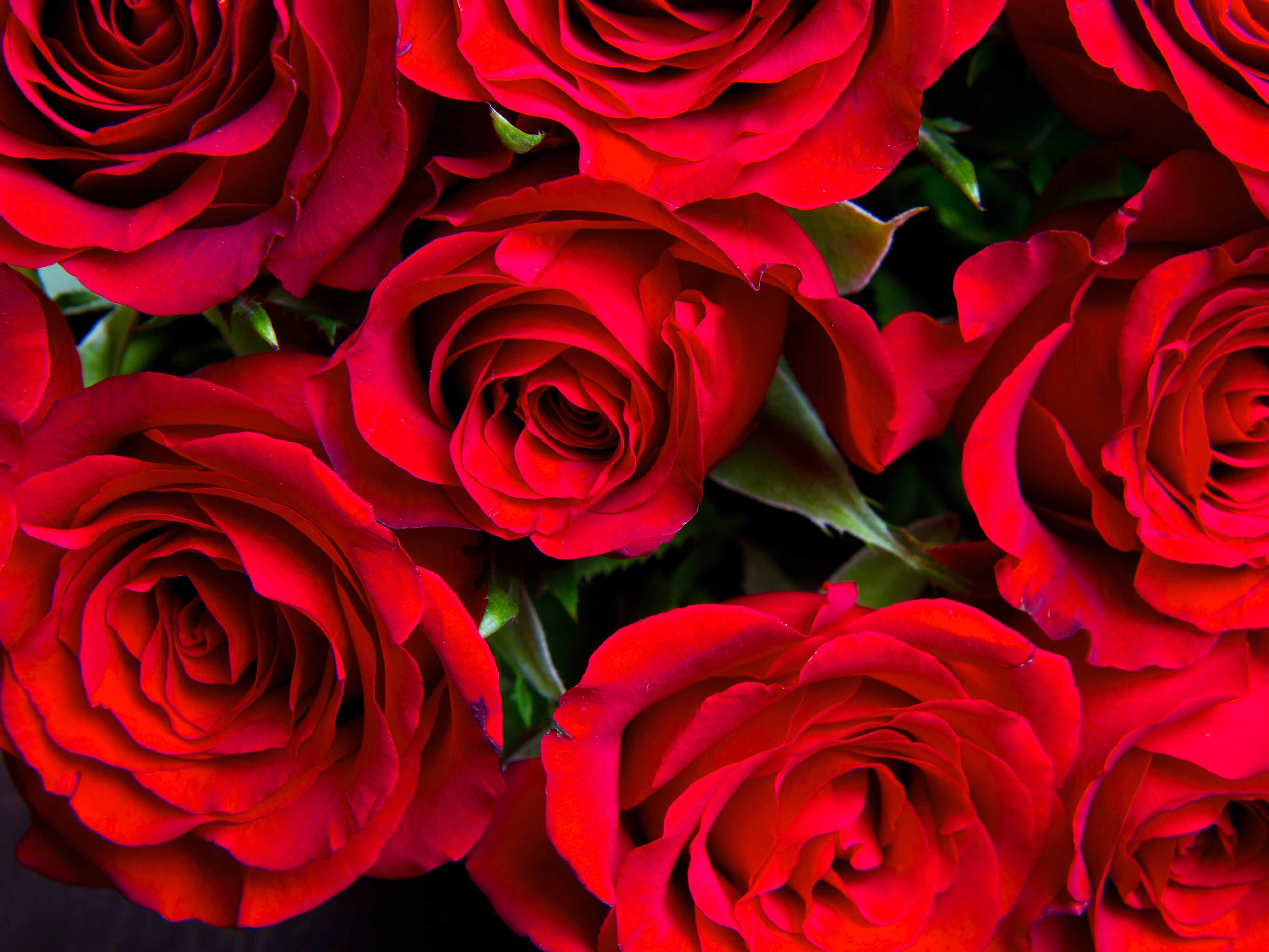 Valentine's Day Seamless Digital Paper 1 - CraftNest - Digital Crafting and Art