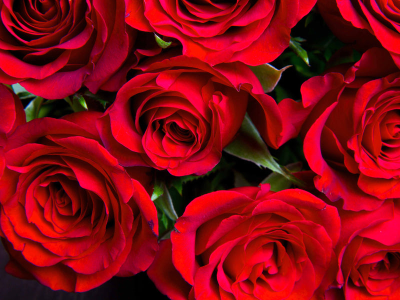 Valentine's Day Seamless Digital Paper 1 - CraftNest - Digital Crafting and Art