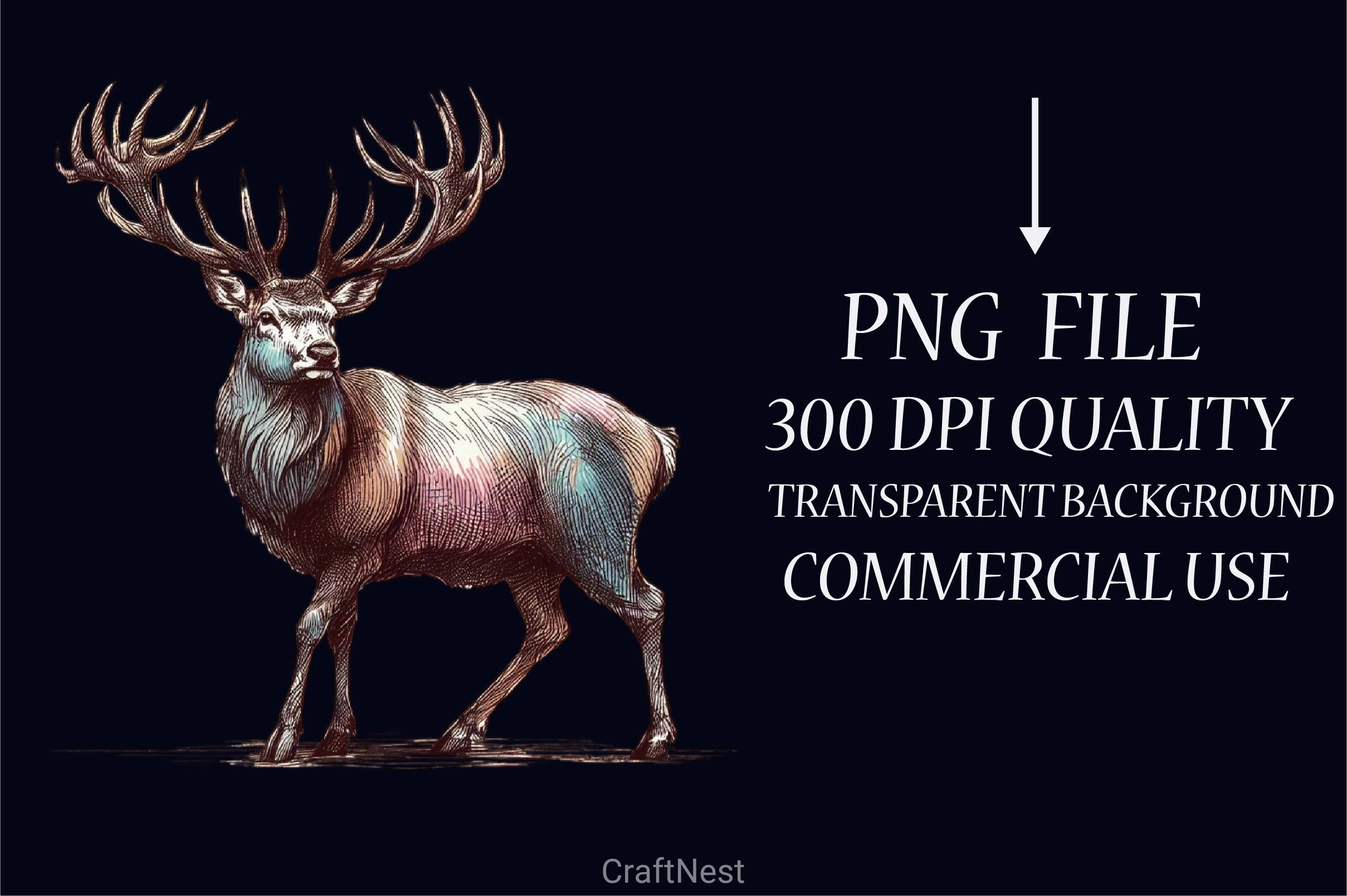 Deer Clipart Bundle - CraftNest - Digital Crafting and Art