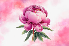 Pink Peony Set Clipart Bundle - CraftNest - Digital Crafting and Art