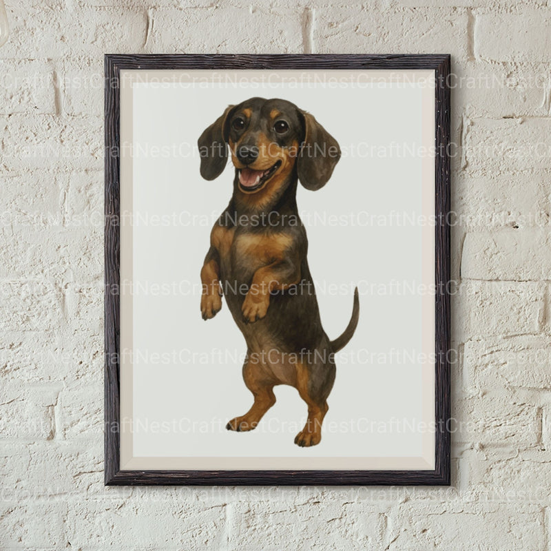 Dachshunds Clipart Bundle 1 - CraftNest - Digital Crafting and Art
