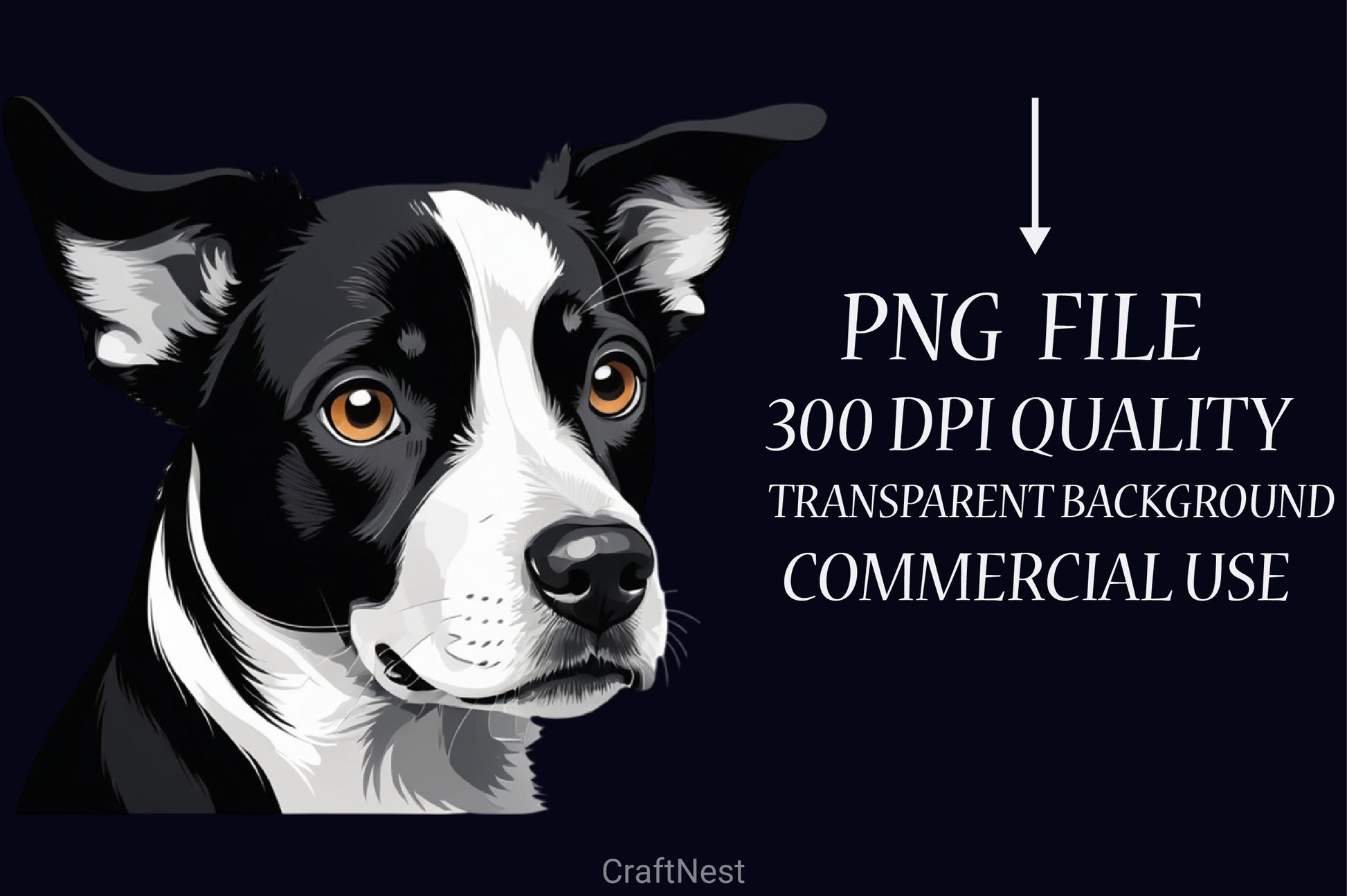 Cute Black & White Dog Clipart Bundle - CraftNest - Digital Crafting and Art