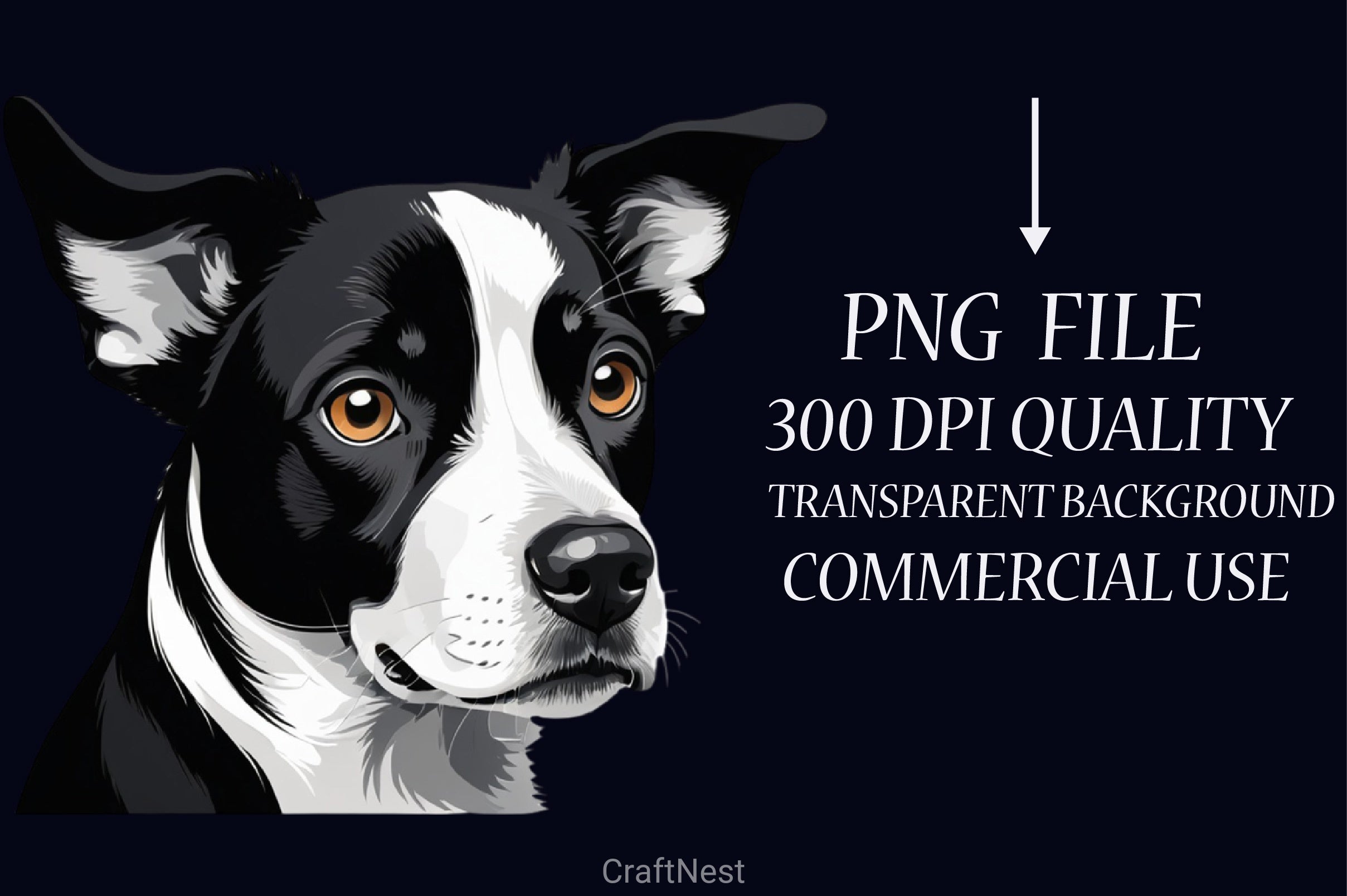 Cute Black & White Dog Clipart Bundle - CraftNest - Digital Crafting and Art