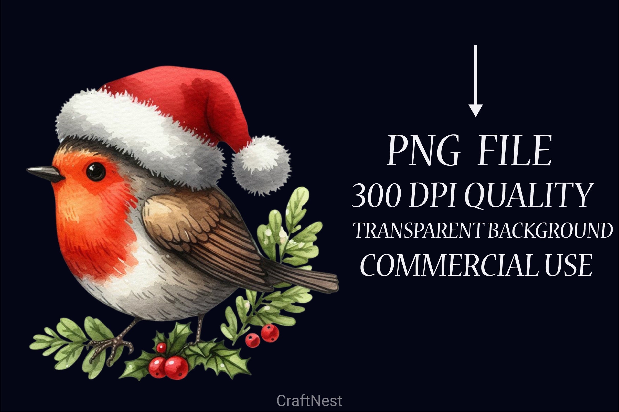 Robin Santa Bird Clipart Bundle - CraftNest - Digital Crafting and Art