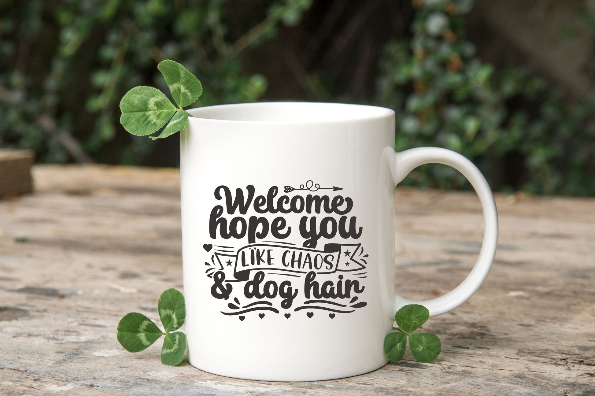 Welcome Sign Bundle - CraftNest - Digital Crafting and Art