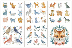 Birds Clipart Bundle - CraftNest - Digital Crafting and Art