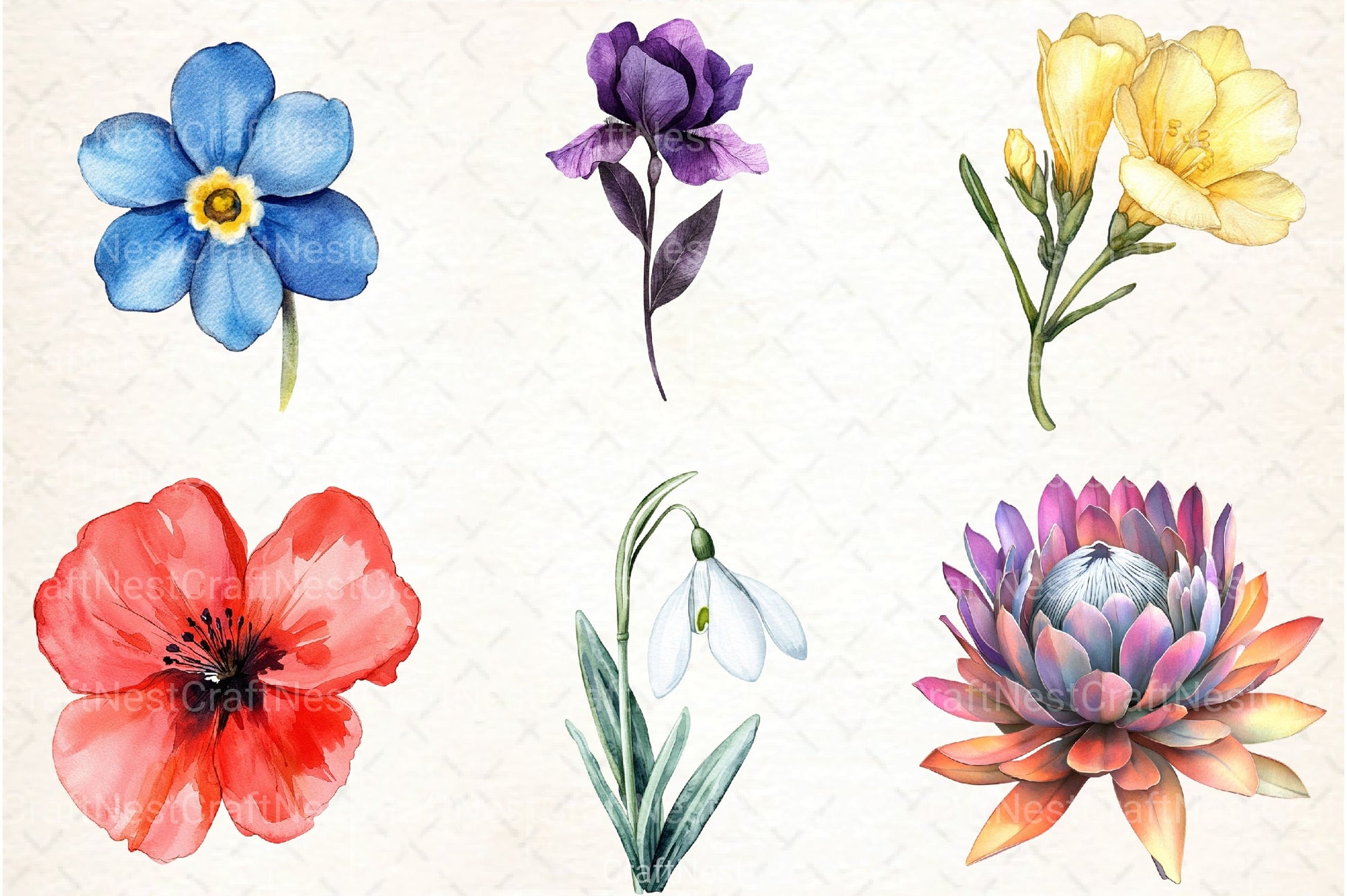 Flower Clipart Bundle for Creative Designs - CraftNest - Digital Crafting and Art