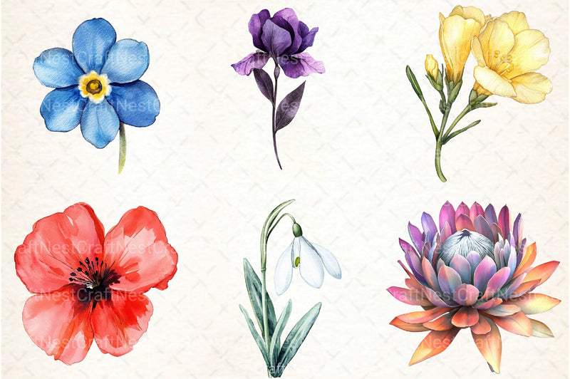 Flower Clipart Bundle for Creative Designs - CraftNest - Digital Crafting and Art