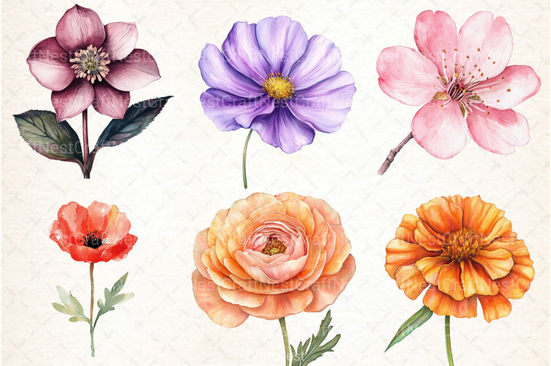 Flower Clipart Bundle for Creative Designs - CraftNest - Digital Crafting and Art