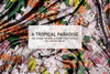 A Tropical Paradise