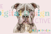 Unique Pitbull T-Shirt Design Clipart Bundle