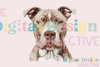 Unique Pitbull T-Shirt Design Bundle