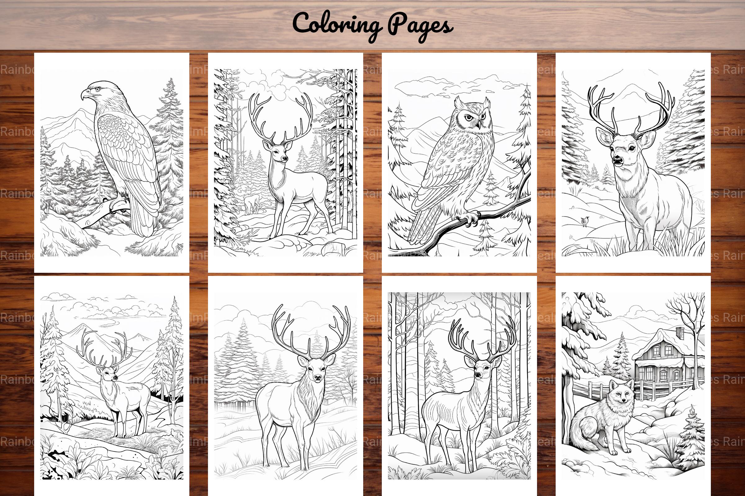 Winter Animal Coloring Pages - CraftNest - Digital Crafting and Art