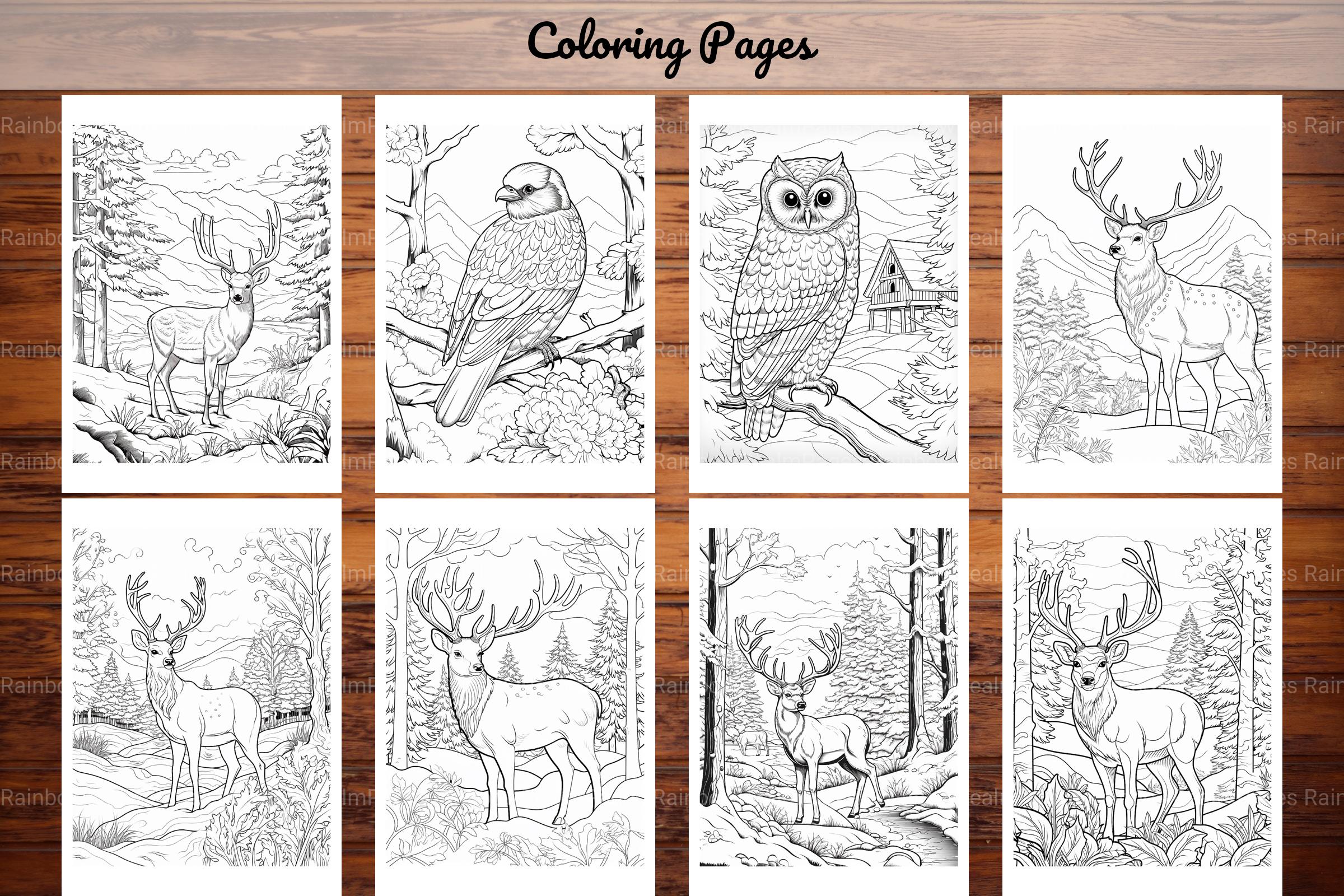 Winter Animal Coloring Pages - CraftNest - Digital Crafting and Art