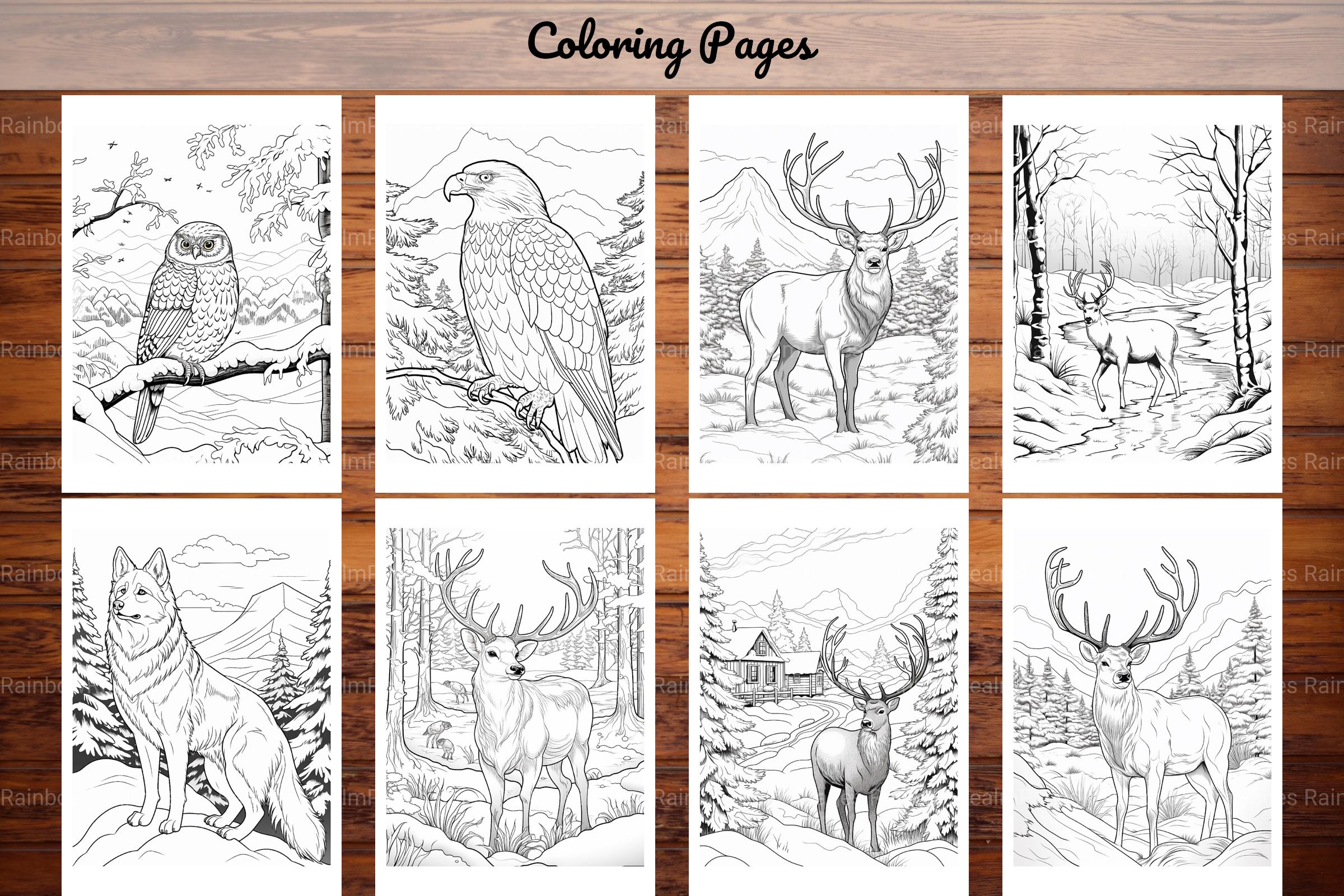 Winter Animal Coloring Pages - CraftNest - Digital Crafting and Art