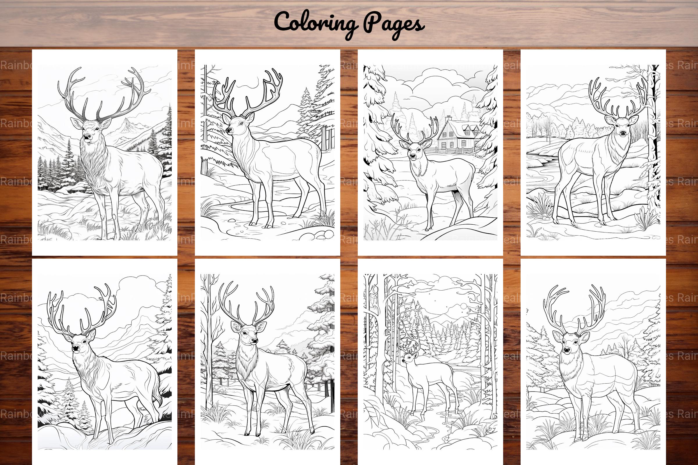 Winter Animal Coloring Pages - CraftNest - Digital Crafting and Art