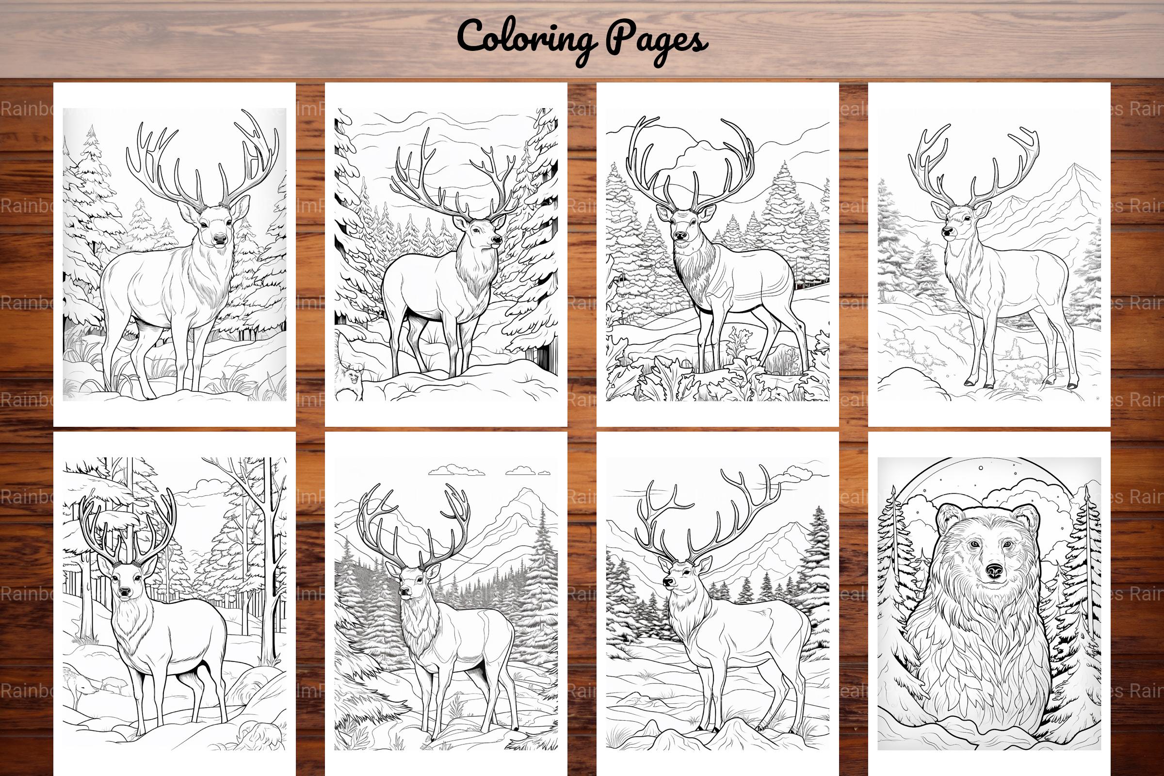 Winter Animal Coloring Pages - CraftNest - Digital Crafting and Art