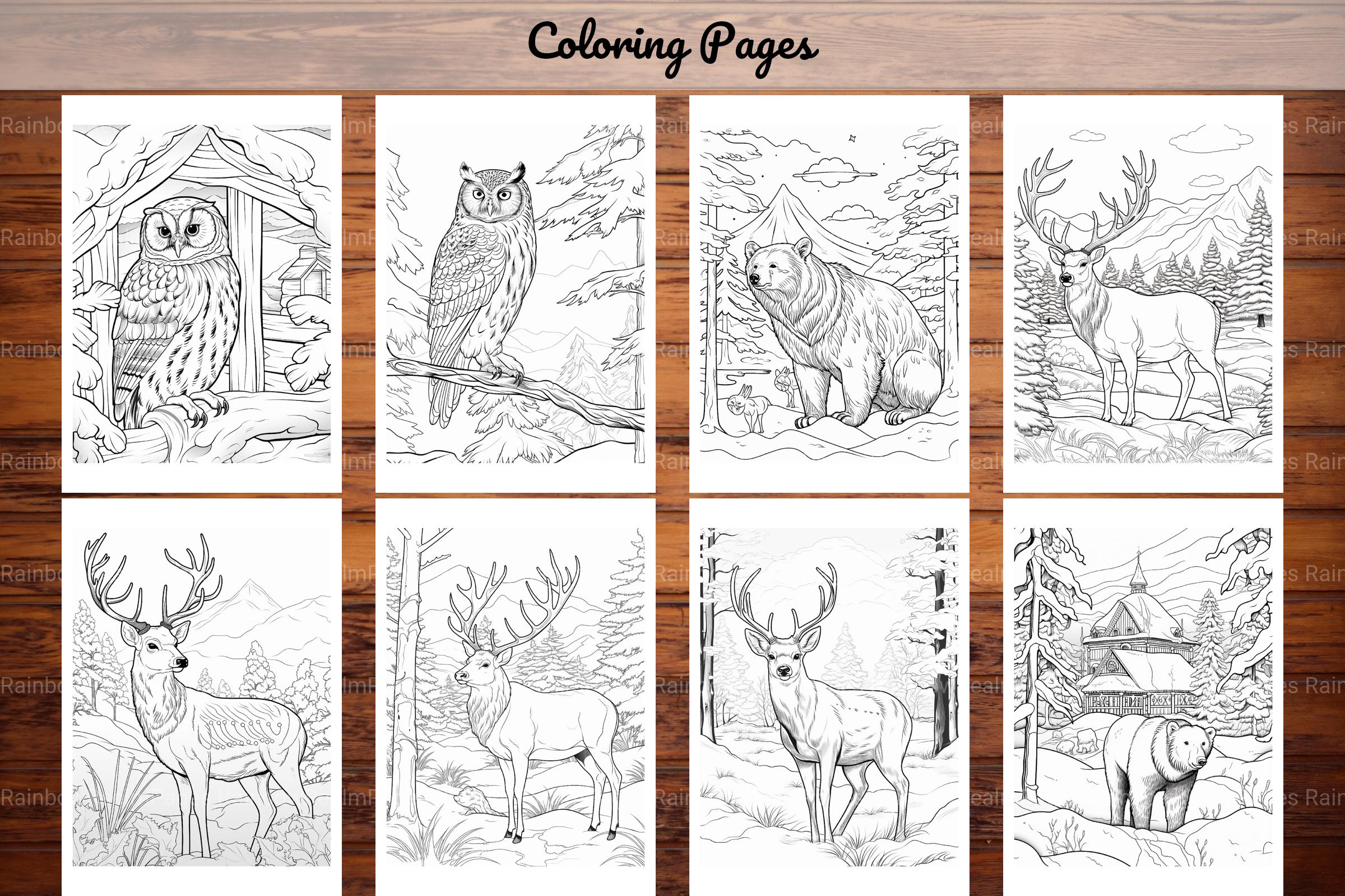 Winter Animal Coloring Pages - CraftNest - Digital Crafting and Art