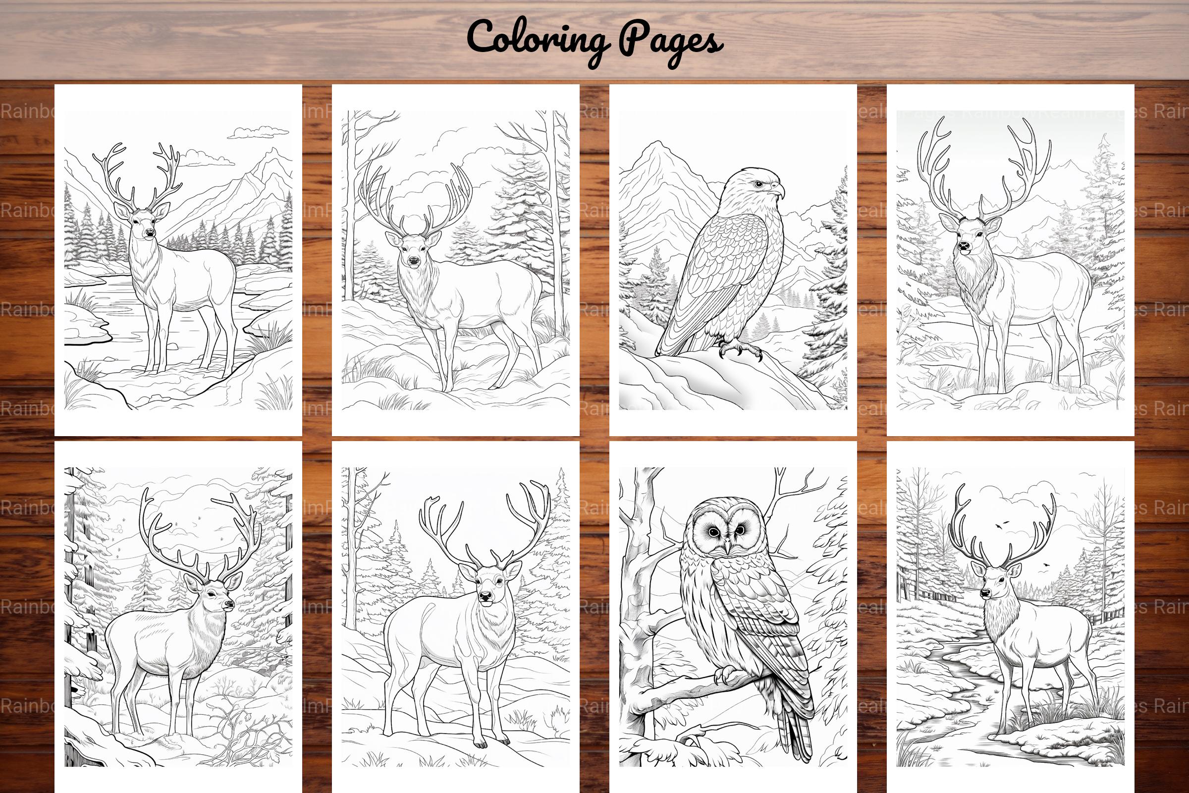 Winter Animal Coloring Pages - CraftNest - Digital Crafting and Art