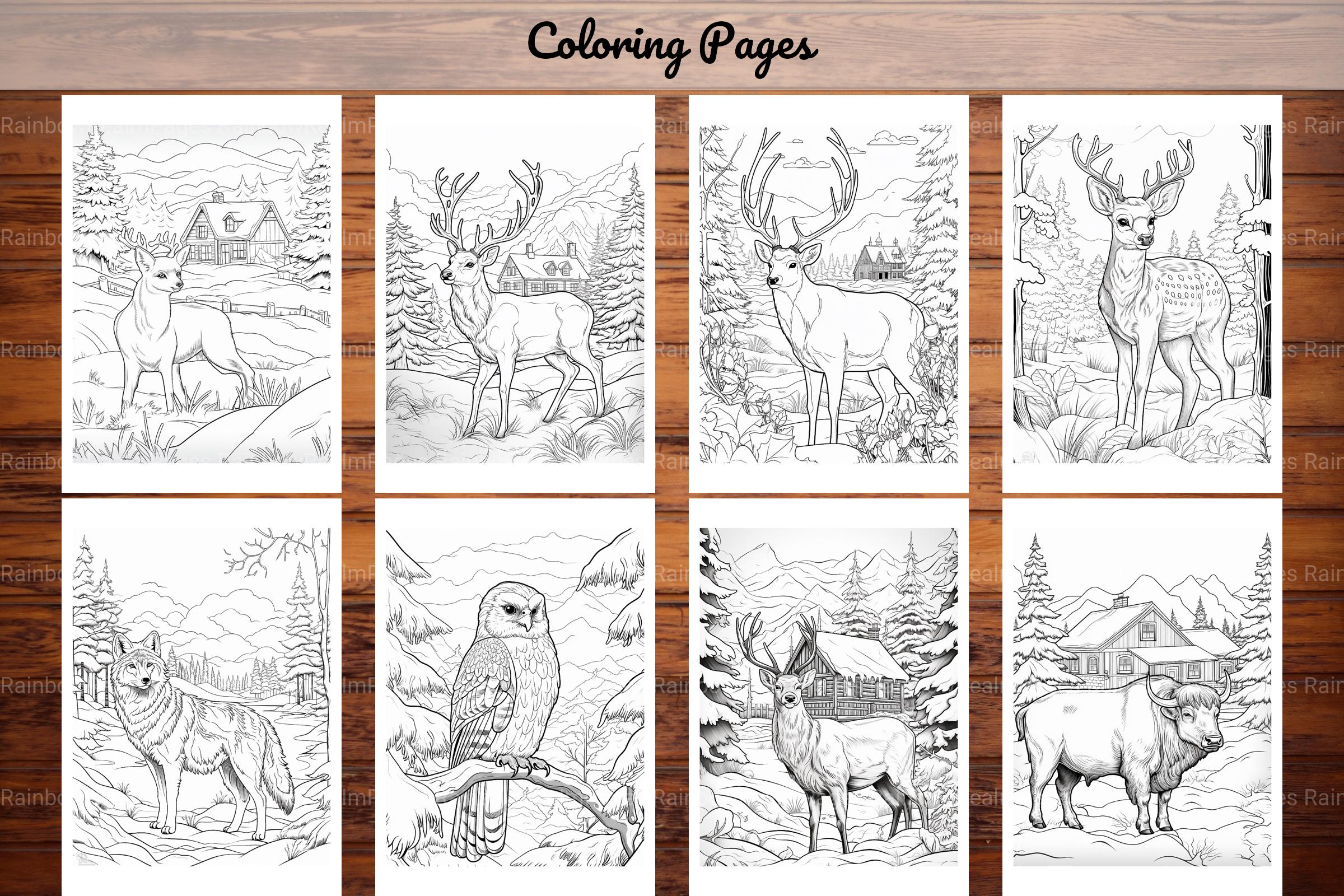 Winter Animal Coloring Pages - CraftNest - Digital Crafting and Art