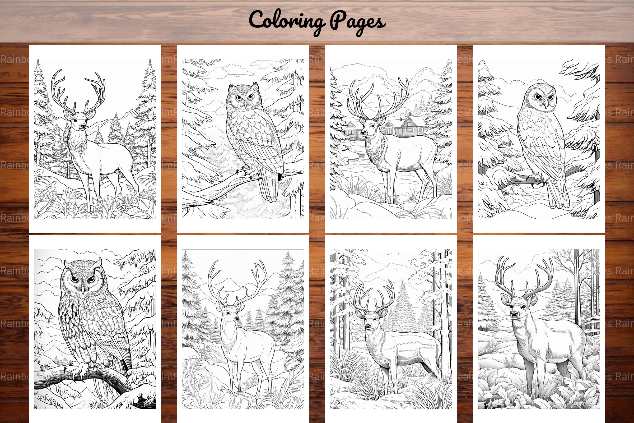 Winter Animal Coloring Pages - CraftNest - Digital Crafting and Art