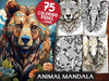 Animal Mandala Coloring Books