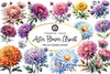 Aster Flower Clipart Bundle