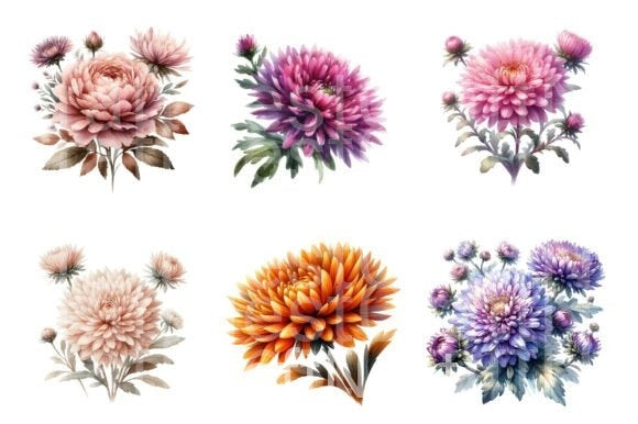 Aster Flower Clipart Bundle - CraftNest - Digital Crafting and Art