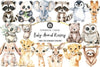 Baby Animal Nursery Clipart Bundle