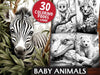 Baby Animals Coloring Books