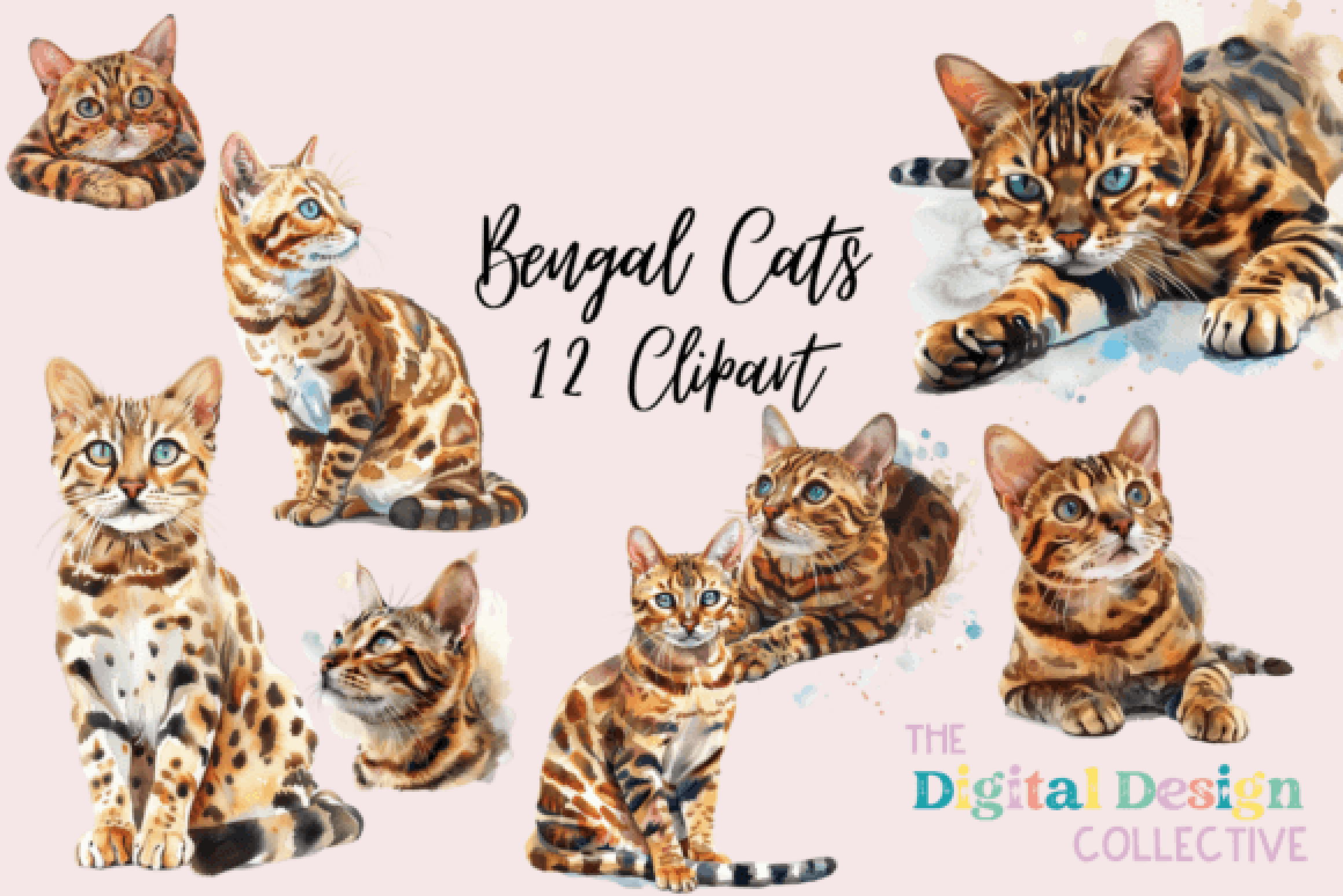 Bengal Cat Clipart Bundle Illustration