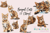 Bengal Cat Clipart Bundle Illustration