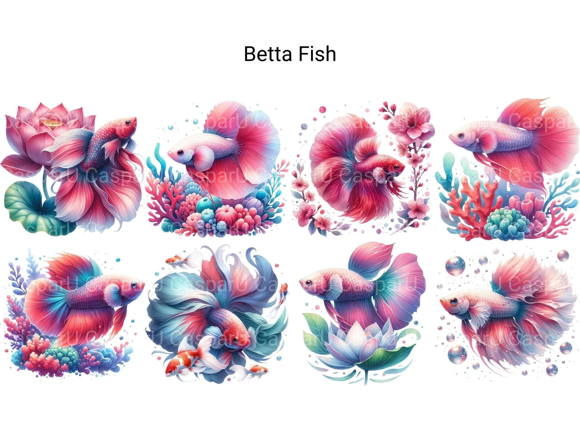Betta Fish - CraftNest - Digital Crafting and Art