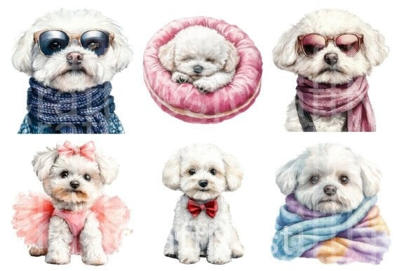 Bichon Frise Dog Clipart Bundle - CraftNest - Digital Crafting and Art