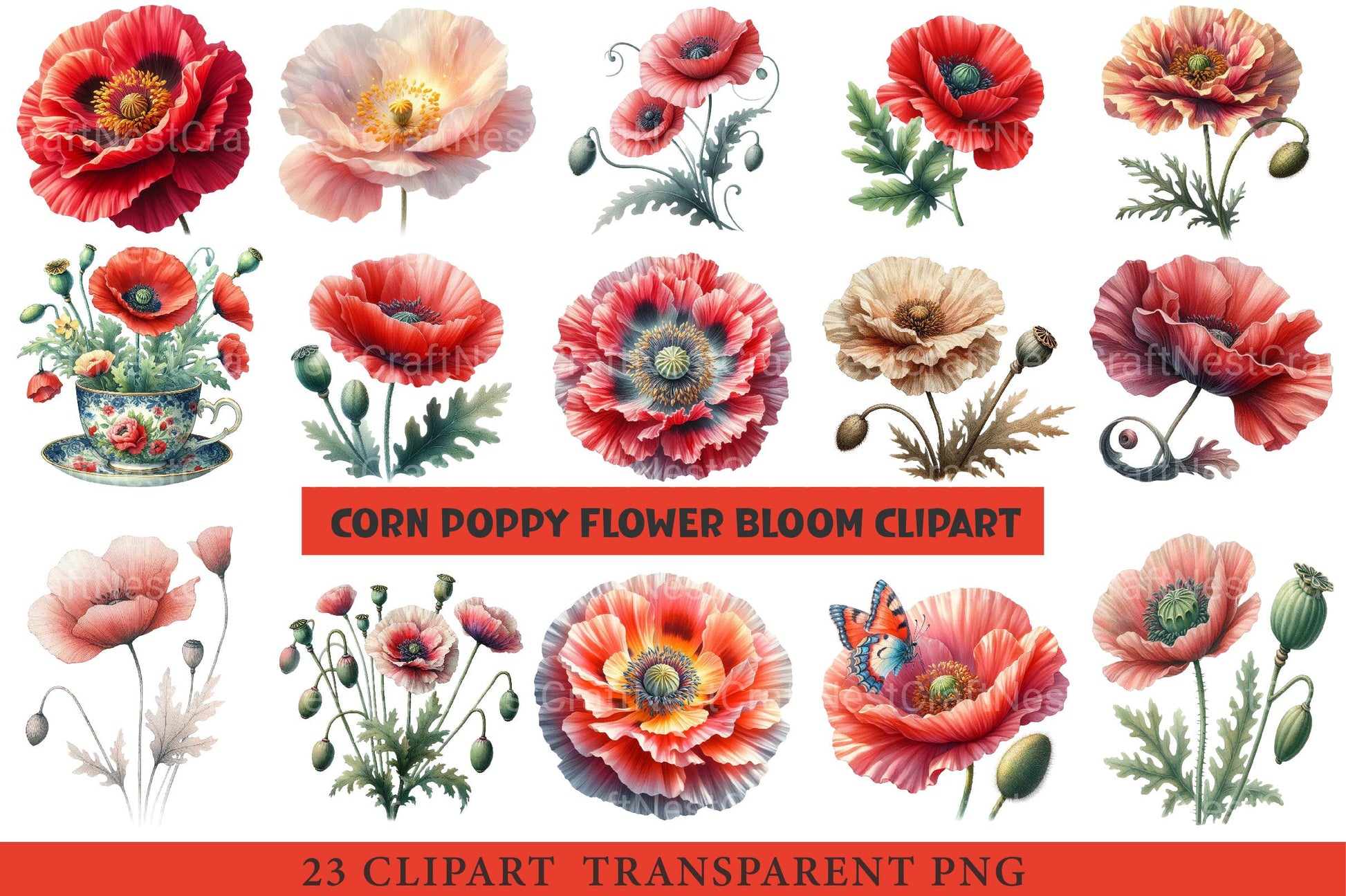 Corn Poppy Flower Bloom Clipart Bundle - CraftNest - Digital Crafting and Art