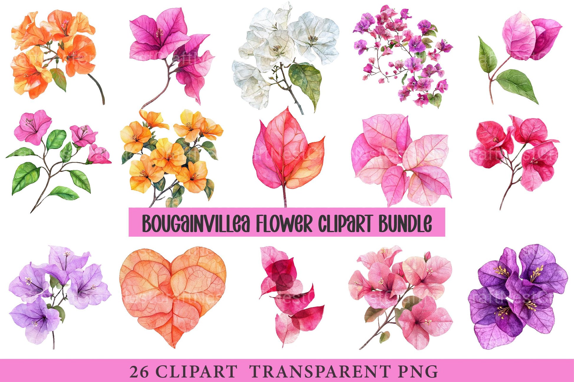 Bougainvillea Flower Clipart - CraftNest - Digital Crafting and Art