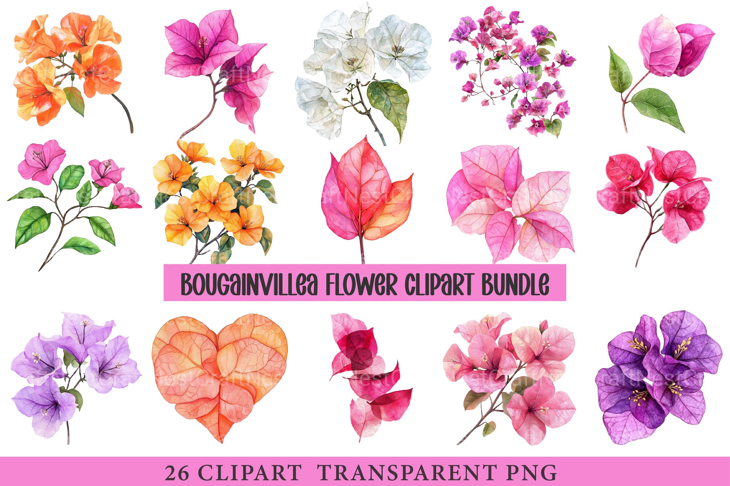 Bougainvillea Flower Clipart - CraftNest - Digital Crafting and Art