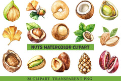 Nuts Clipart Bundle - CraftNest - Digital Crafting and Art