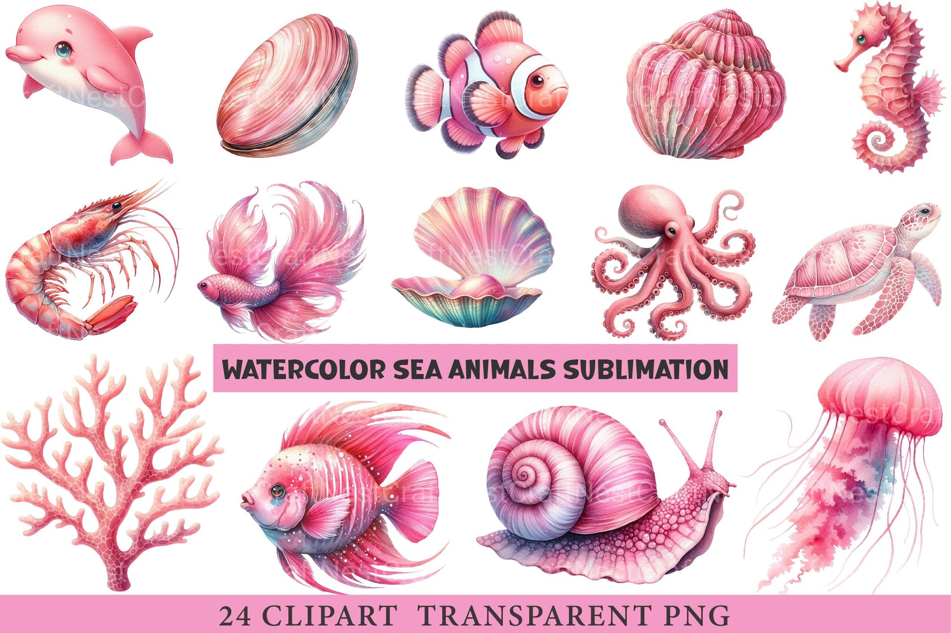 Sea Animals Clipart - CraftNest - Digital Crafting and Art