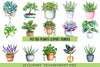 Potted Plants Clipart