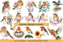 Spring Robins Clipart Bundle - CraftNest - Digital Crafting and Art