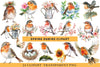 Spring Robins Clipart Bundle