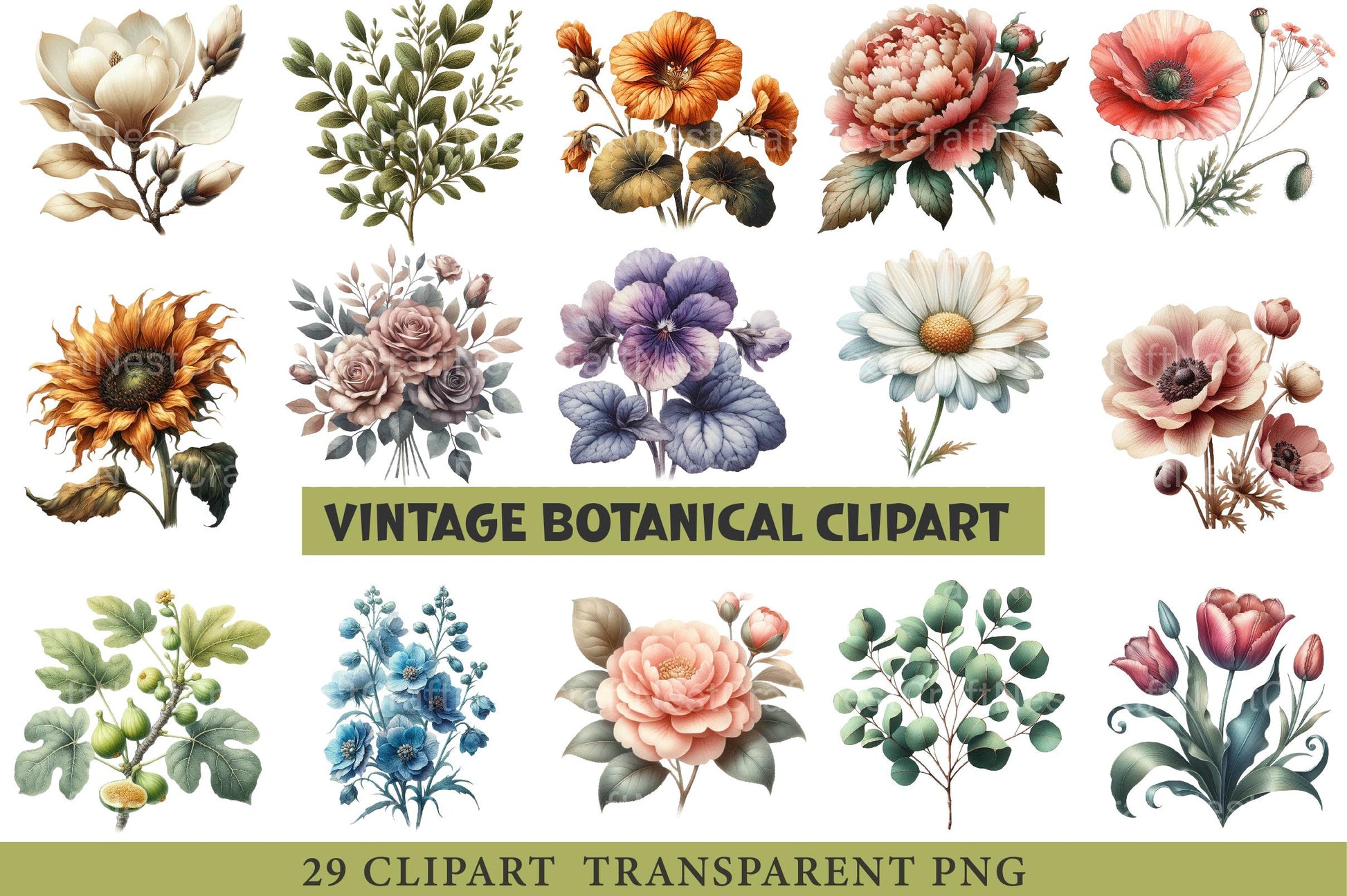Vintage Botanical Clipart - CraftNest - Digital Crafting and Art