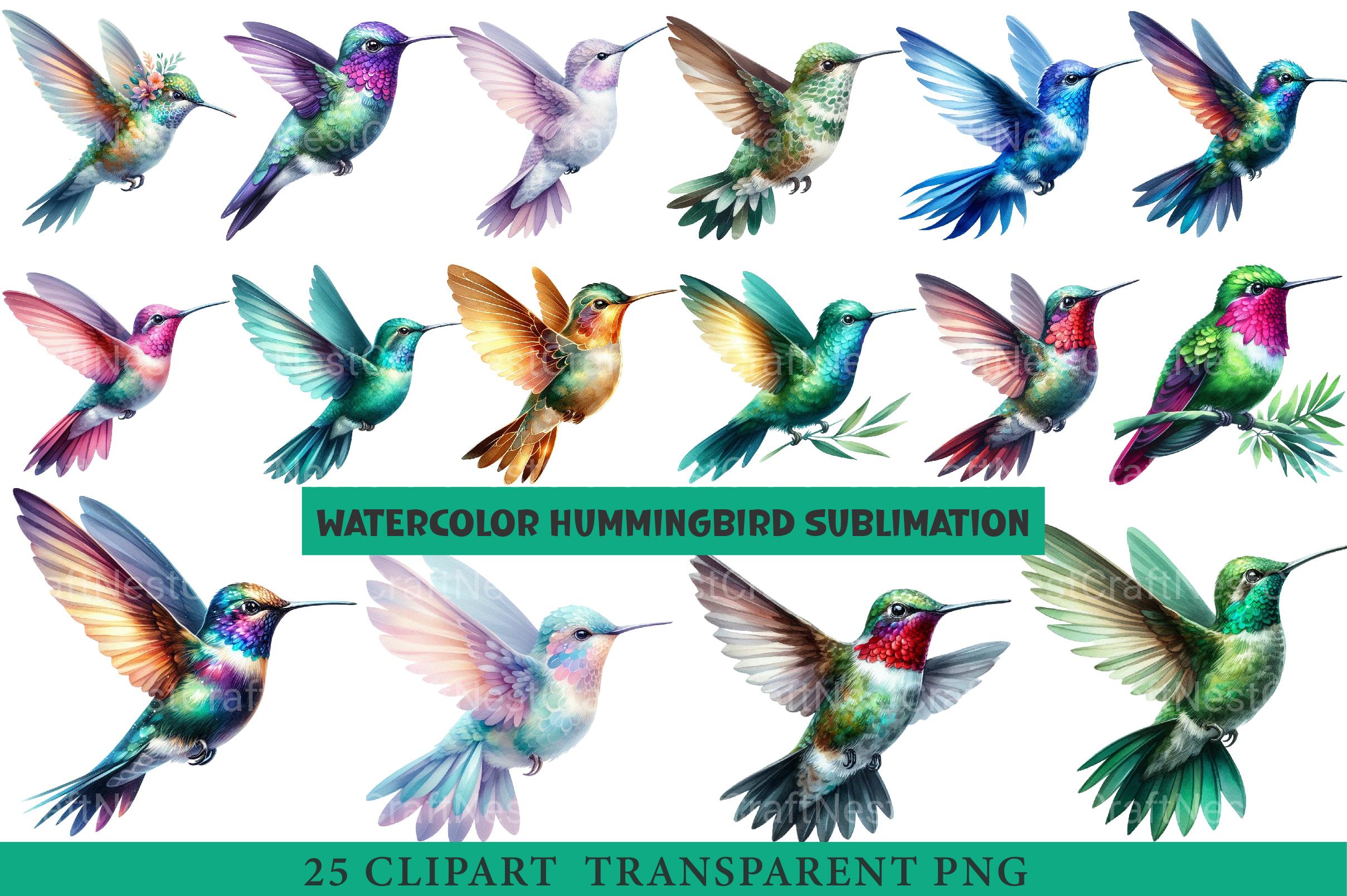 Hummingbird Clipart - CraftNest - Digital Crafting and Art