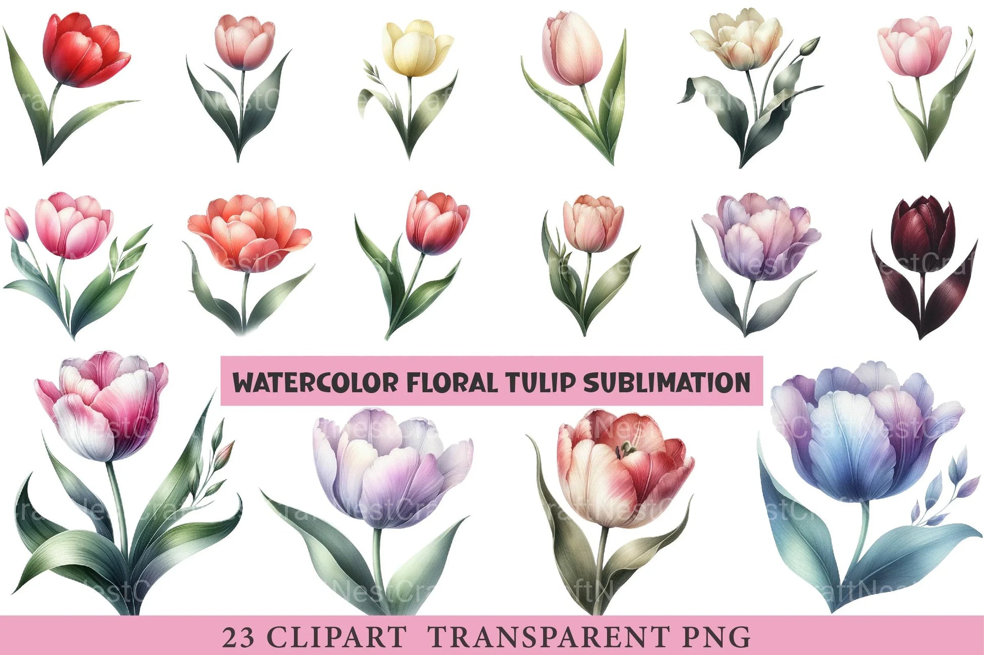 Floral Tulip Clipart Bundle - CraftNest - Digital Crafting and Art