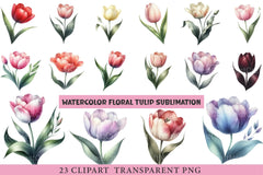 Floral Tulip Clipart Bundle - CraftNest - Digital Crafting and Art