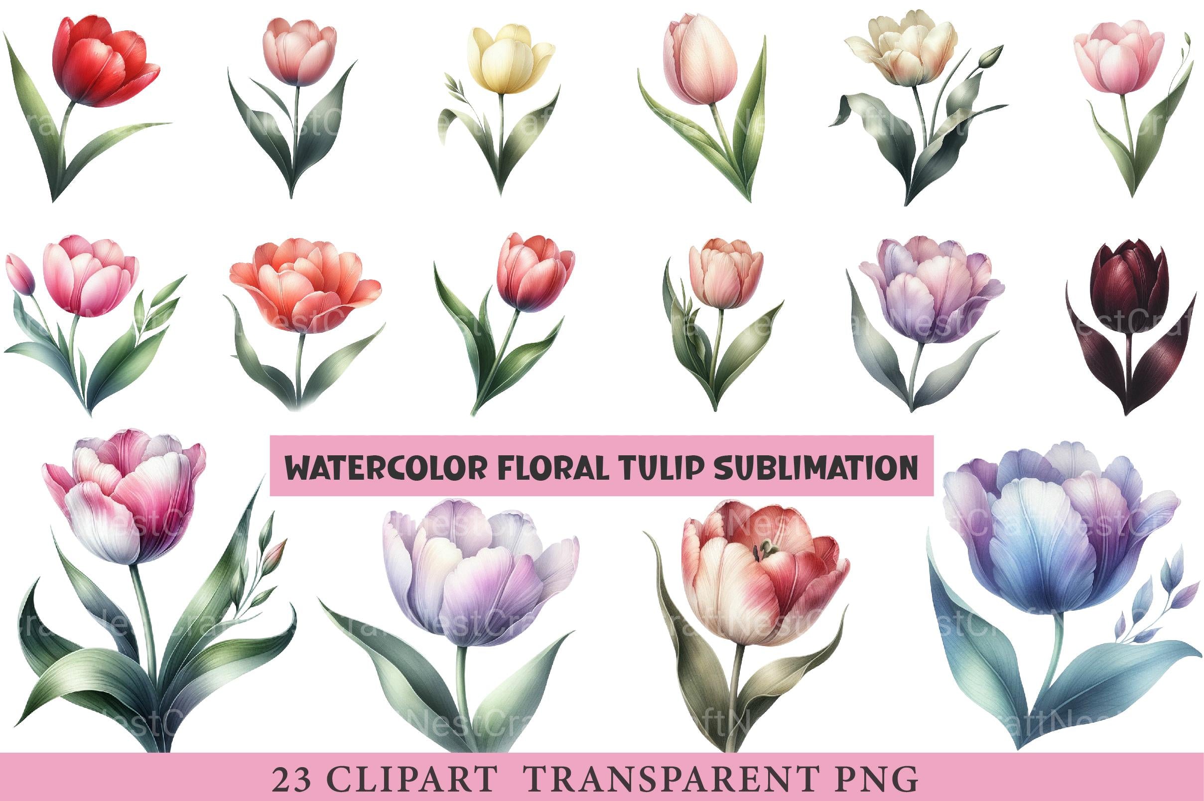 Floral Tulip Clipart Bundle - CraftNest - Digital Crafting and Art