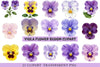 Viola Flower Bloom Clipart