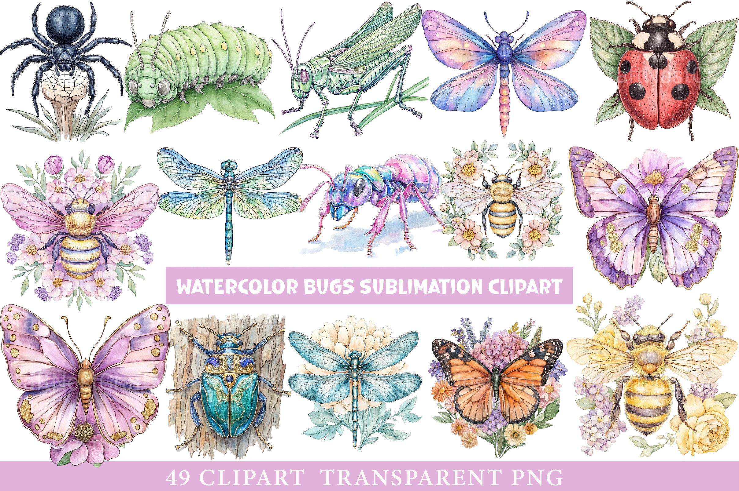 Bugs Clipart - CraftNest - Digital Crafting and Art